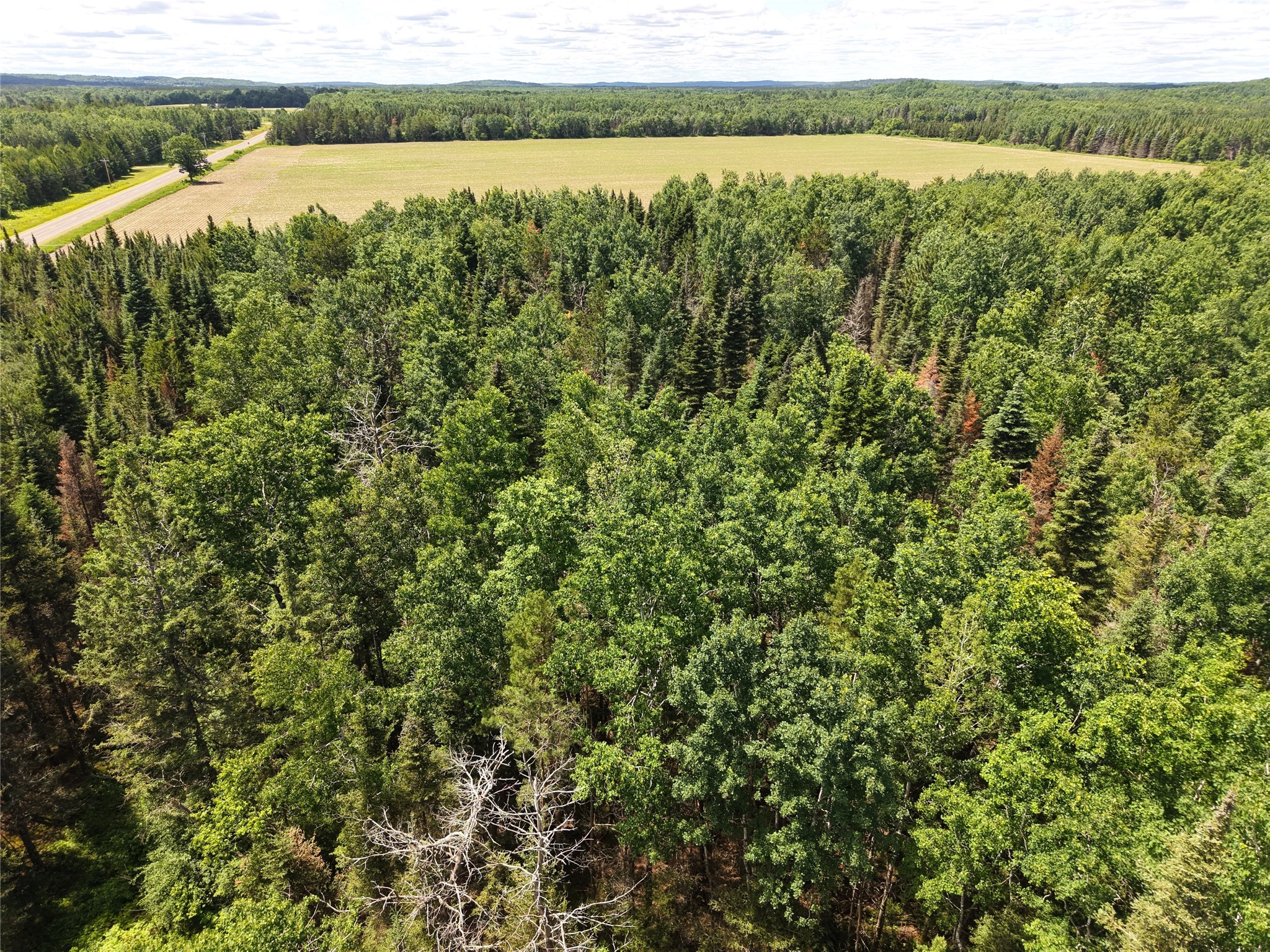 Lot 4 Main Road Minong, WI 54859 - Photo 6 of 19