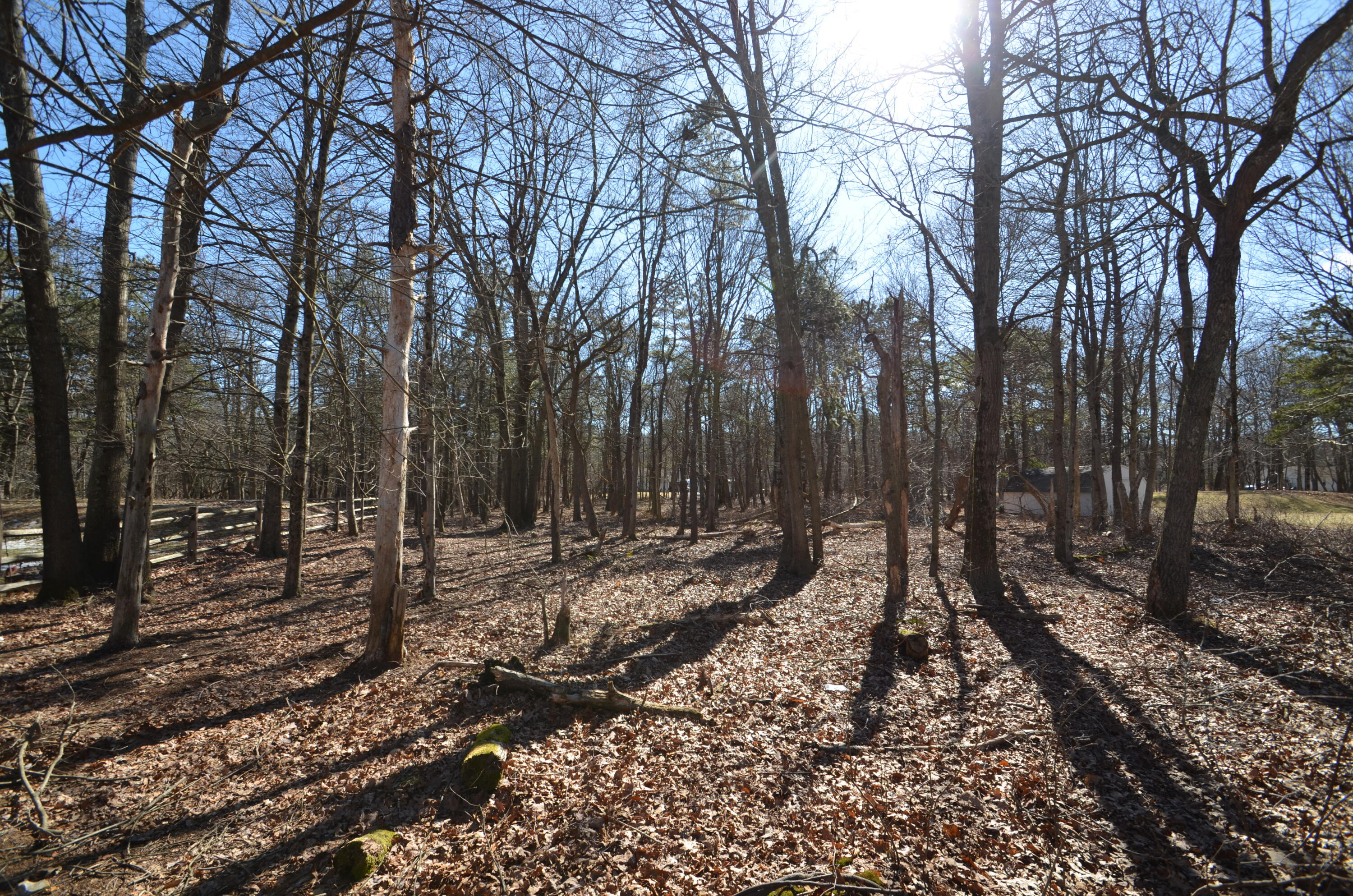 Mountain Road Albrightsville, PA 18210 - Photo 1 of 5 a view of a backyard with trees