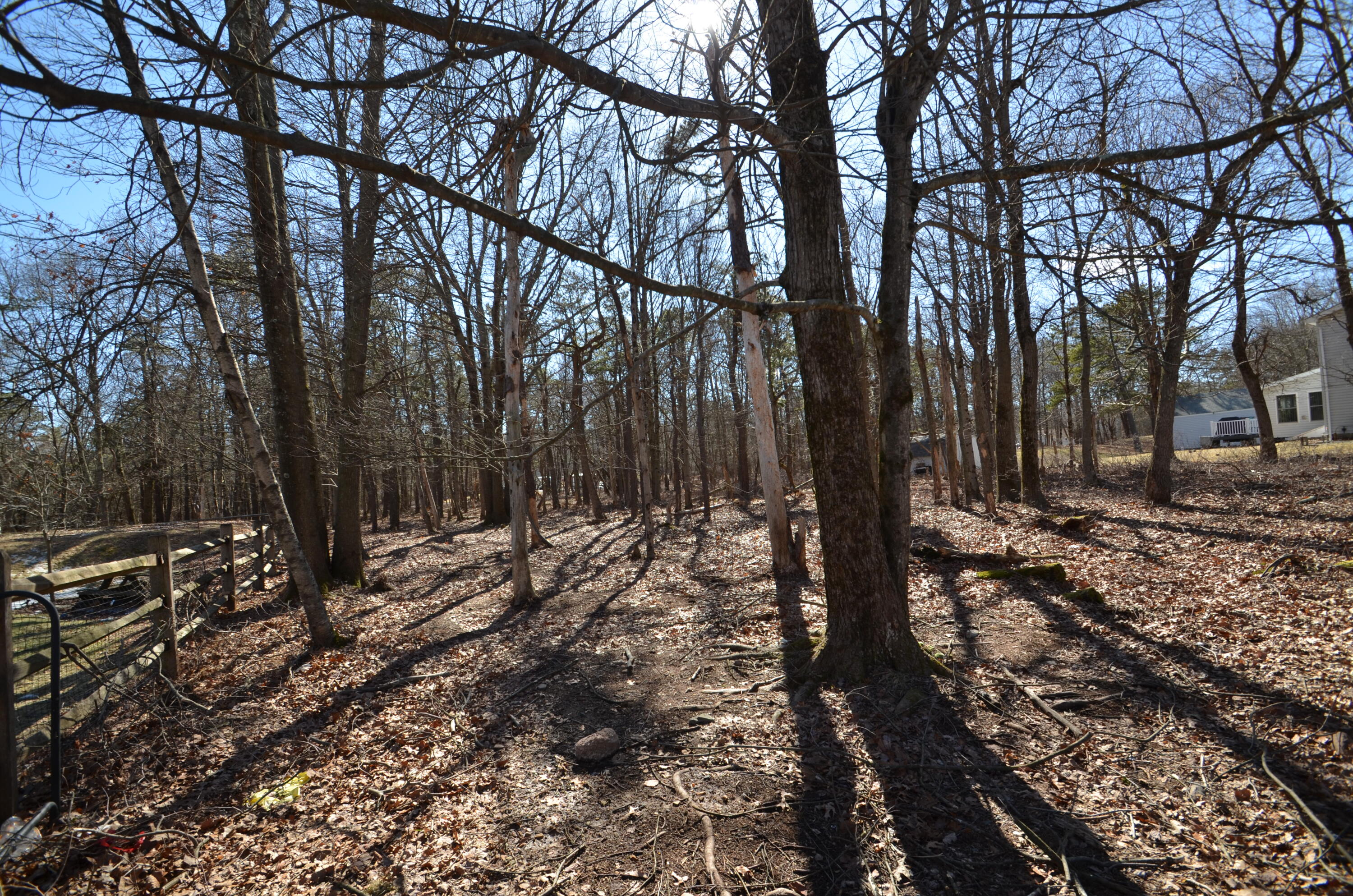 Mountain Road Albrightsville, PA 18210 - Photo 2 of 5 a view of a forest with trees