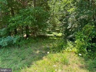0 Swan Point Road Newburg, MD 20664 - Photo 8 of 11 Land