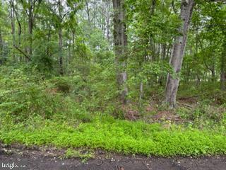 0 Swan Point Road Newburg, MD 20664 - Photo 10 of 11 Land