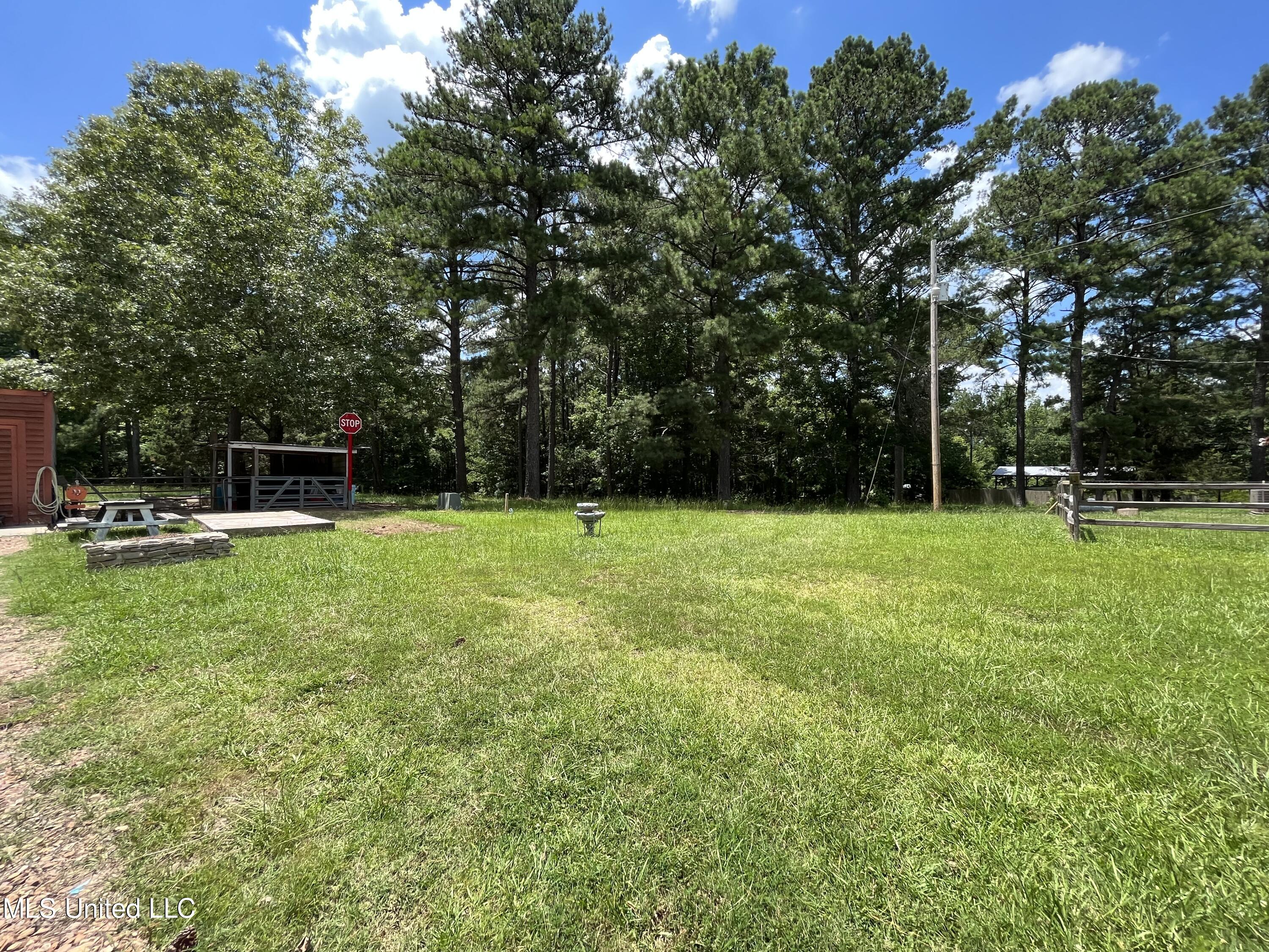 249 North Enoch Grove Road Florence, MS 39073 - Photo 29 of 34 IMG_2414