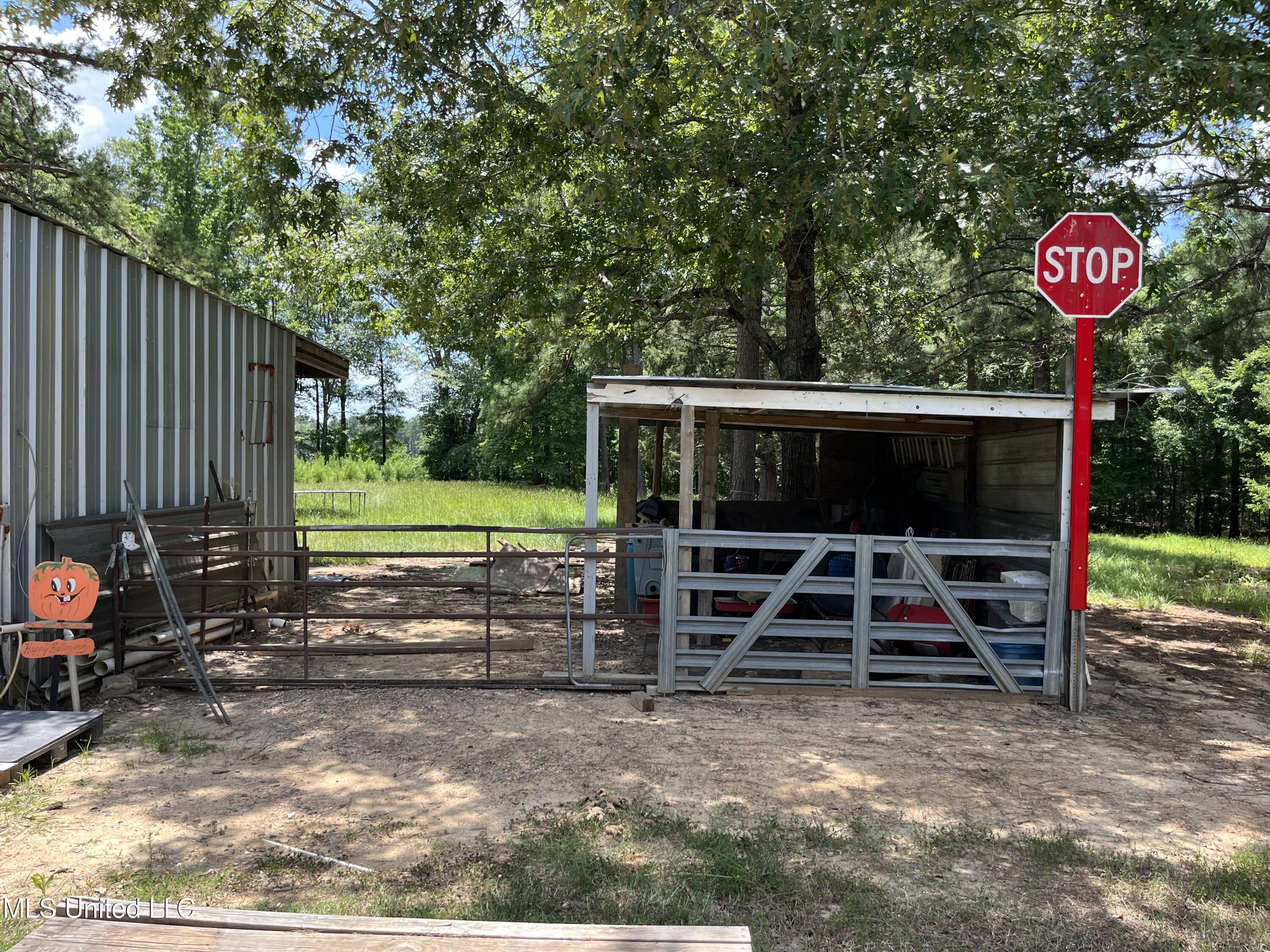 249 North Enoch Grove Road Florence, MS 39073 - Photo 32 of 34 IMG_2417