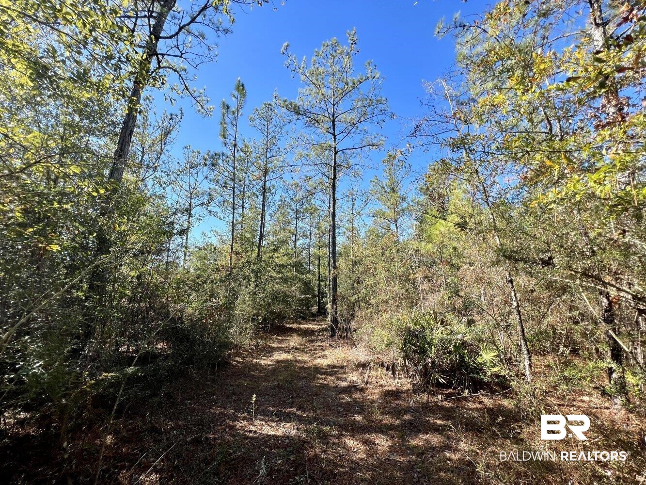 0 C C Road Chunchula, AL 36521 - Photo 15 of 27