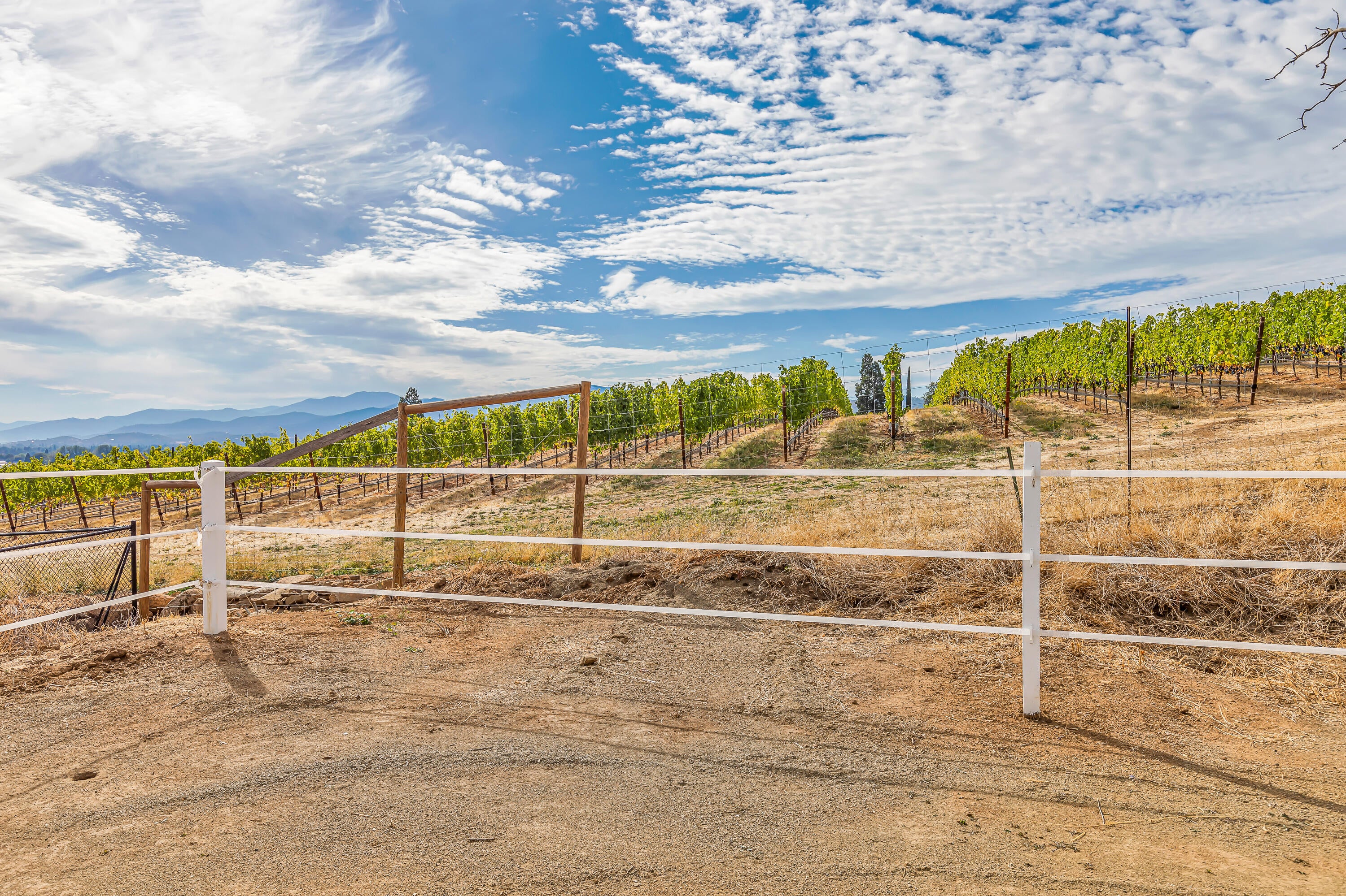 1865 Old Military Road Central Point, OR 97502 - Photo 66 of 77 View of Vineyard from arena