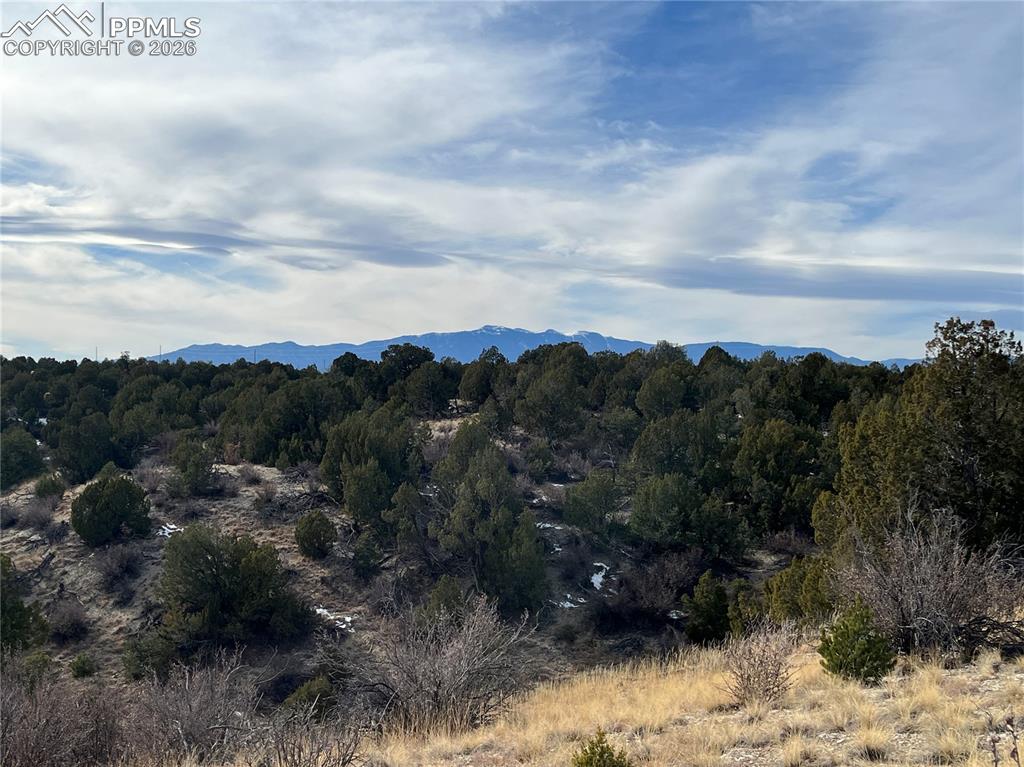 94 Fulton Lane Pueblo, CO 81004 - Photo 2 of 9 a view of a covered with top of mountains