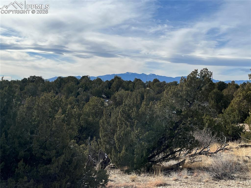 94 Fulton Lane Pueblo, CO 81004 - Photo 3 of 9