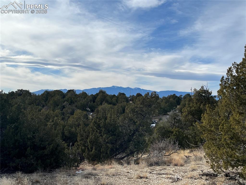 94 Fulton Lane Pueblo, CO 81004 - Photo 8 of 9 a view of a yard