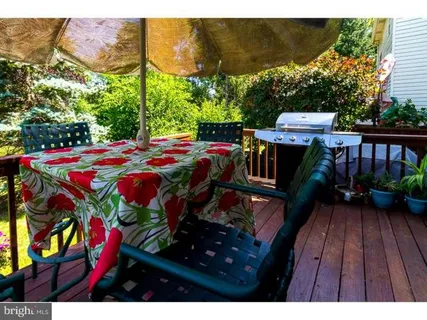 a view of garden with plants and trees