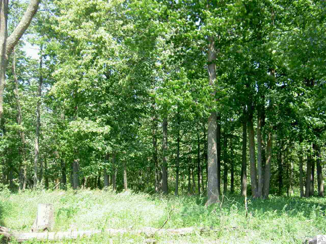 33887 Walta Road Willow River, MN 55795 - Photo 7 of 7 Gallery Image 7