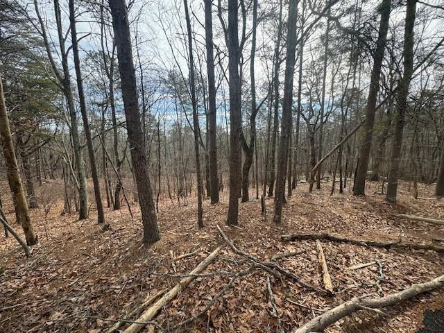 117 Leopard Court Waleska, GA 30183 - Photo 1 of 9