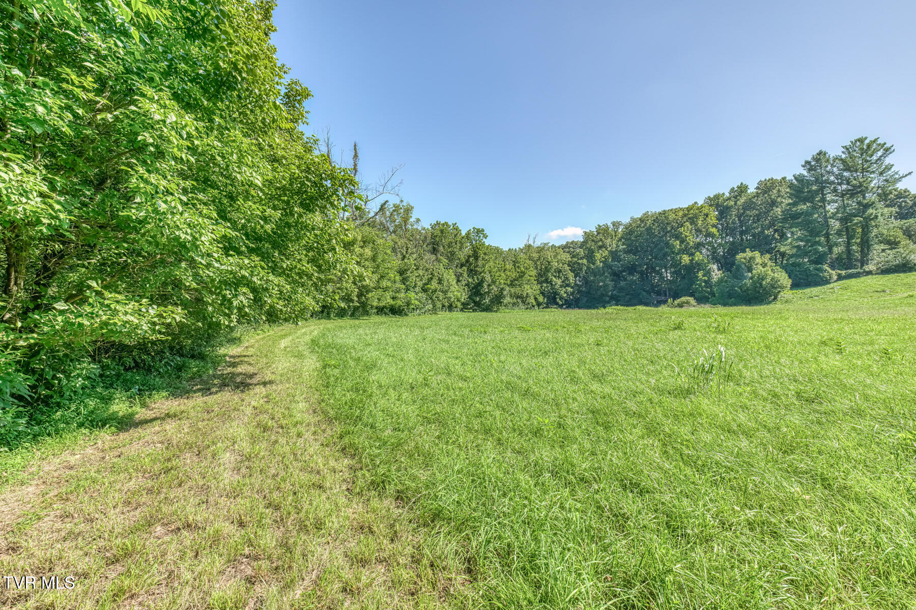 419 Kitzmiller Road Gray, TN 37615 - Photo 83 of 94 419 Kitzmiller Rd-100