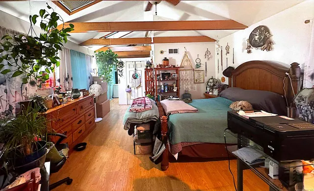 a room with furniture or couch and a potted plant