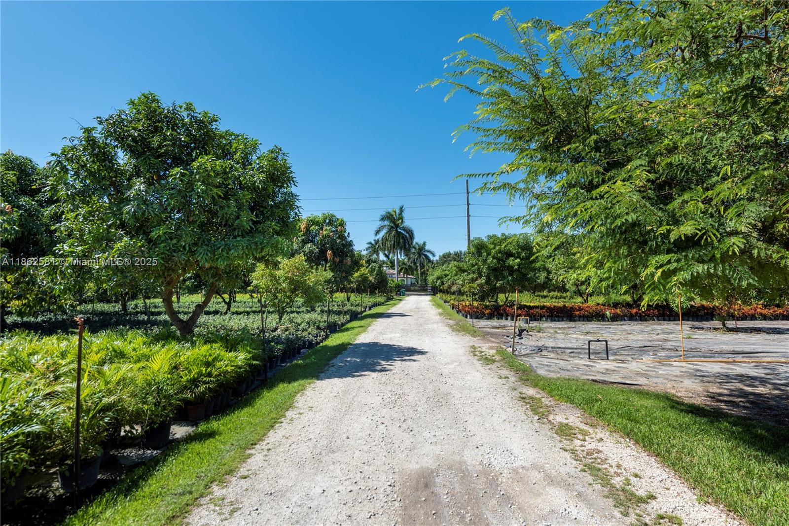 5960 Southwest 190th Avenue Southwest Ranches, FL 33332 - Photo 11 of 32 a view of a pathway of a park with plants and a bench