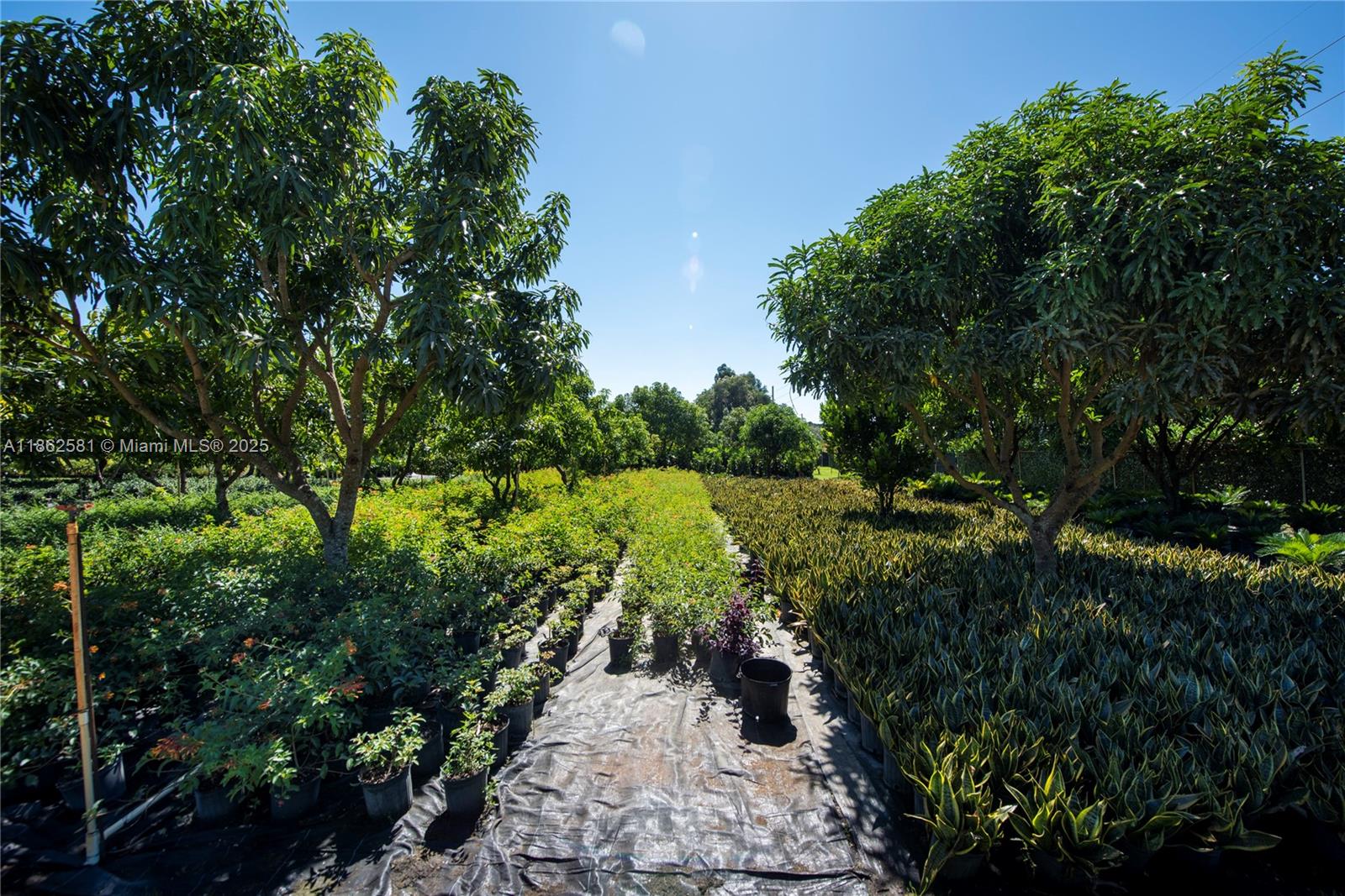 5960 Southwest 190th Avenue Southwest Ranches, FL 33332 - Photo 5 of 32 a view of a lake with a building in background