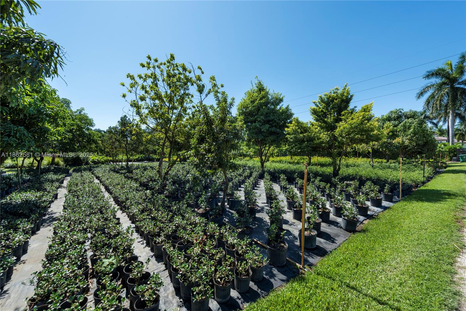 5960 Southwest 190th Avenue Southwest Ranches, FL 33332 - Photo 6 of 32 a view of a garden with a fountain