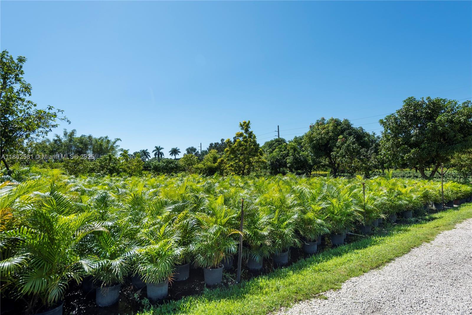 5960 Southwest 190th Avenue Southwest Ranches, FL 33332 - Photo 7 of 32