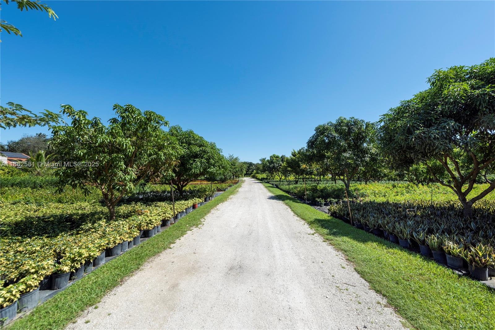 5960 Southwest 190th Avenue Southwest Ranches, FL 33332 - Photo 8 of 32 a view of a street with a yard