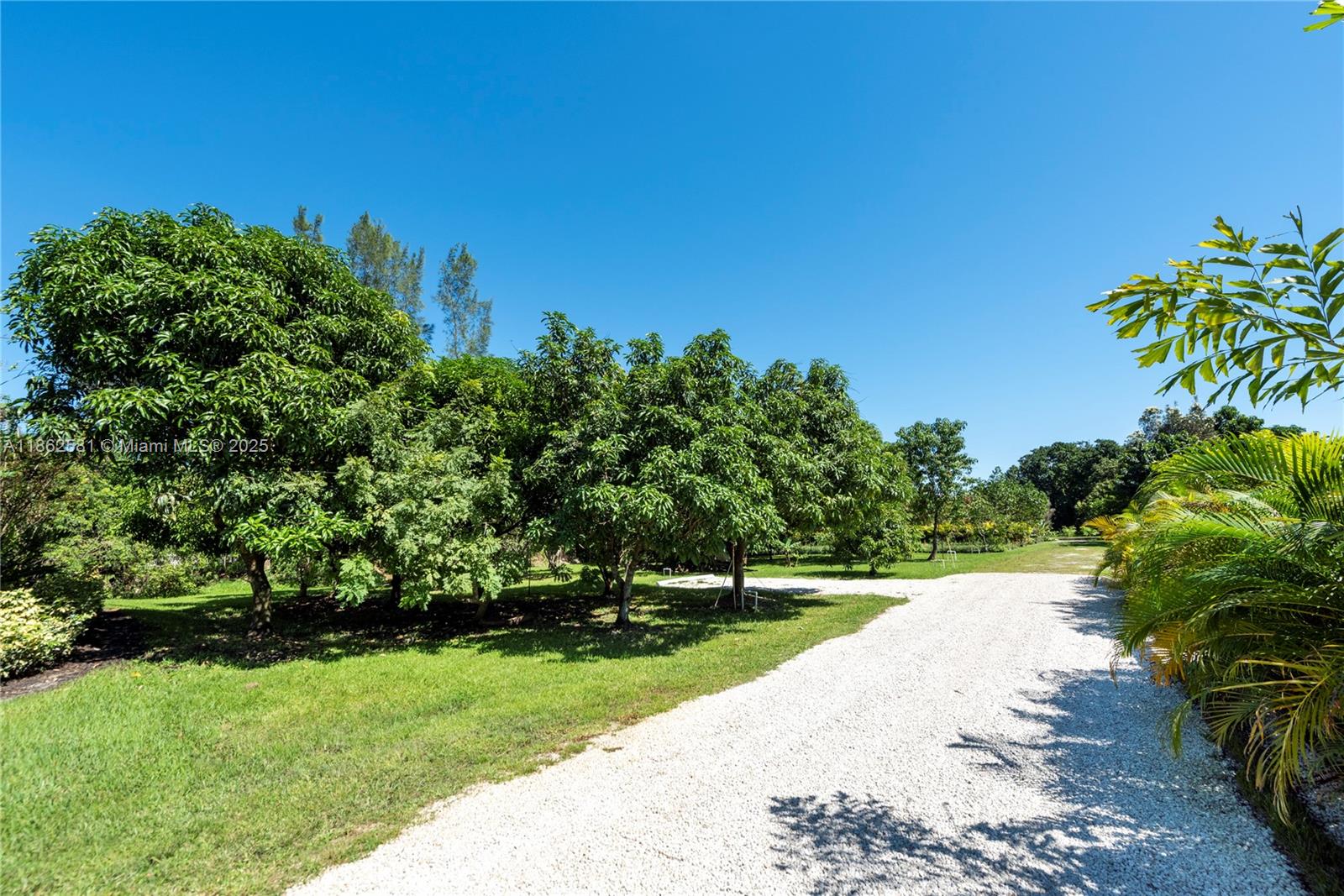 5960 Southwest 190th Avenue Southwest Ranches, FL 33332 - Photo 9 of 32 a view of a garden with plants