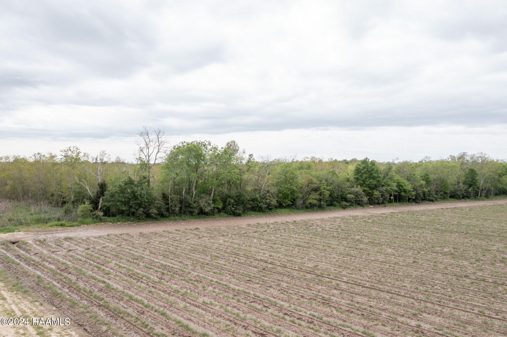 Tbd Hoffpauir Road Rayne, LA 70578 - Photo 2 of 7 1-web-or-mls-DJI_0753