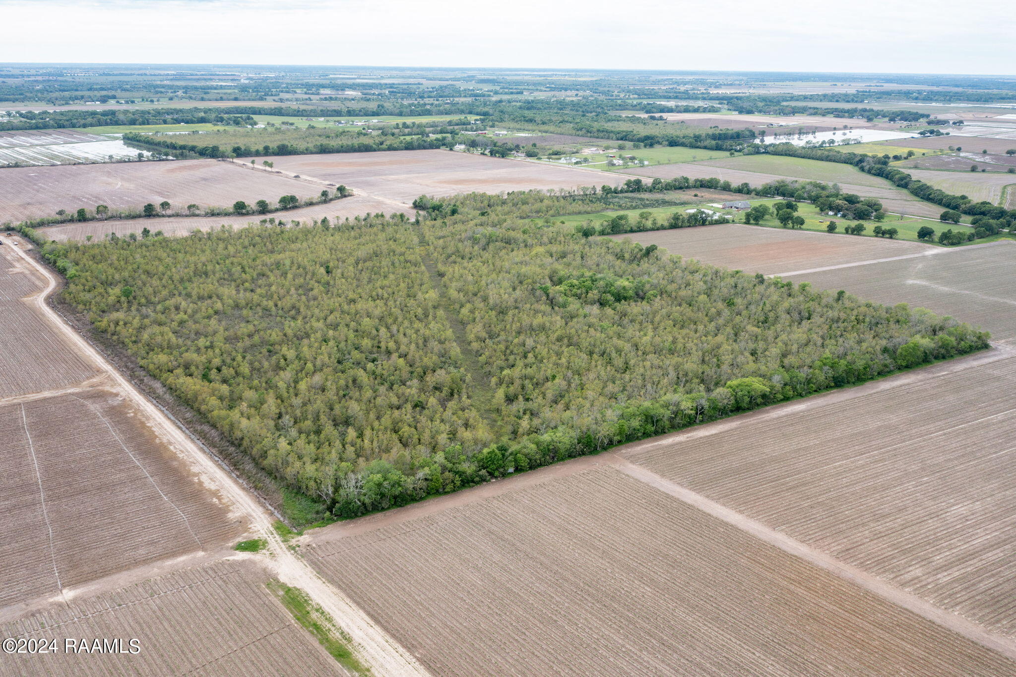 Tbd Hoffpauir Road Rayne, LA 70578 - Photo 3 of 7 2-web-or-mls-DJI_0755