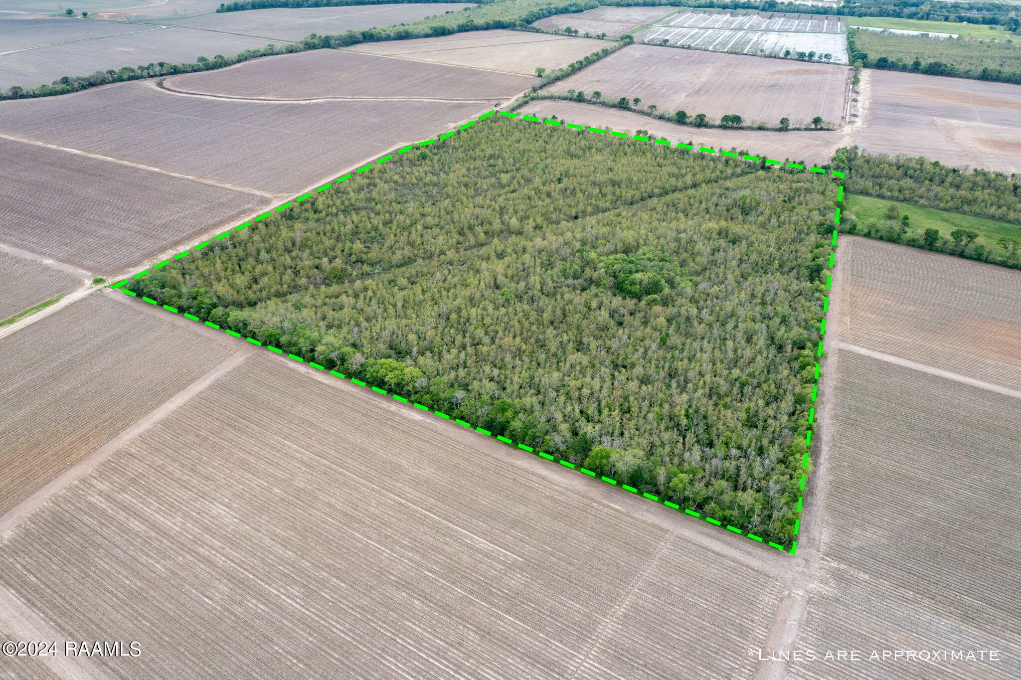 Tbd Hoffpauir Road Rayne, LA 70578 - Photo 4 of 7 4-web-or-mls-DJI_0760-Edit