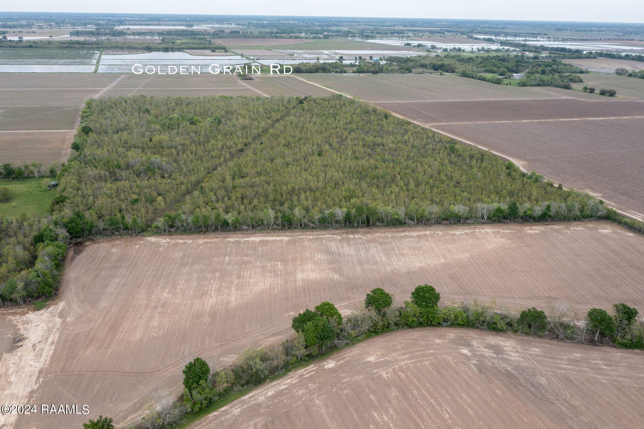 Tbd Hoffpauir Road Rayne, LA 70578 - Photo 5 of 7 5-web-or-mls-DJI_0773-Edit