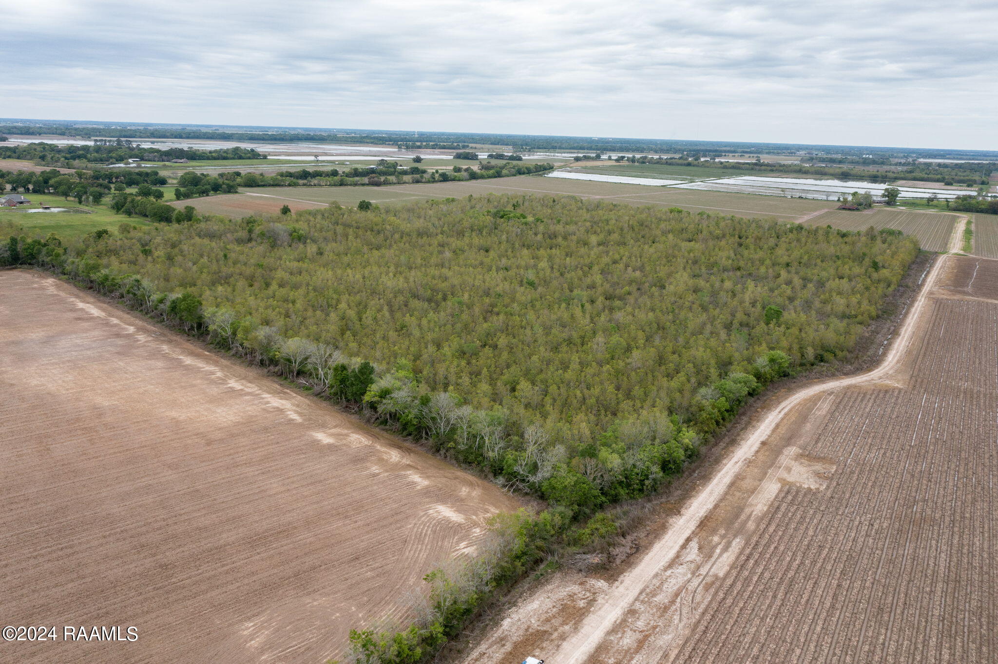 Tbd Hoffpauir Road Rayne, LA 70578 - Photo 6 of 7 6-web-or-mls-DJI_0777