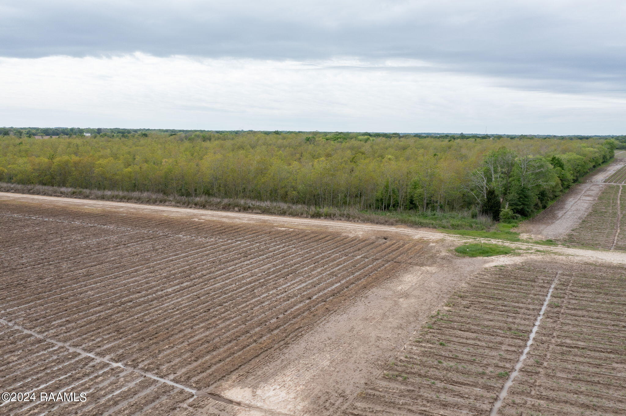 Tbd Hoffpauir Road Rayne, LA 70578 - Photo 7 of 7 7-web-or-mls-DJI_0784