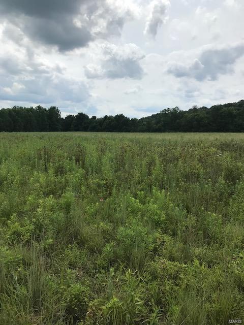 0 River Road Marshall, IL 62441 - Photo 2 of 40
