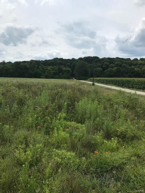 0 River Road Marshall, IL 62441 - Photo 3 of 40