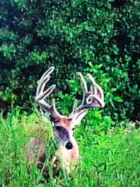 0 River Road Marshall, IL 62441 - Photo 23 of 40
