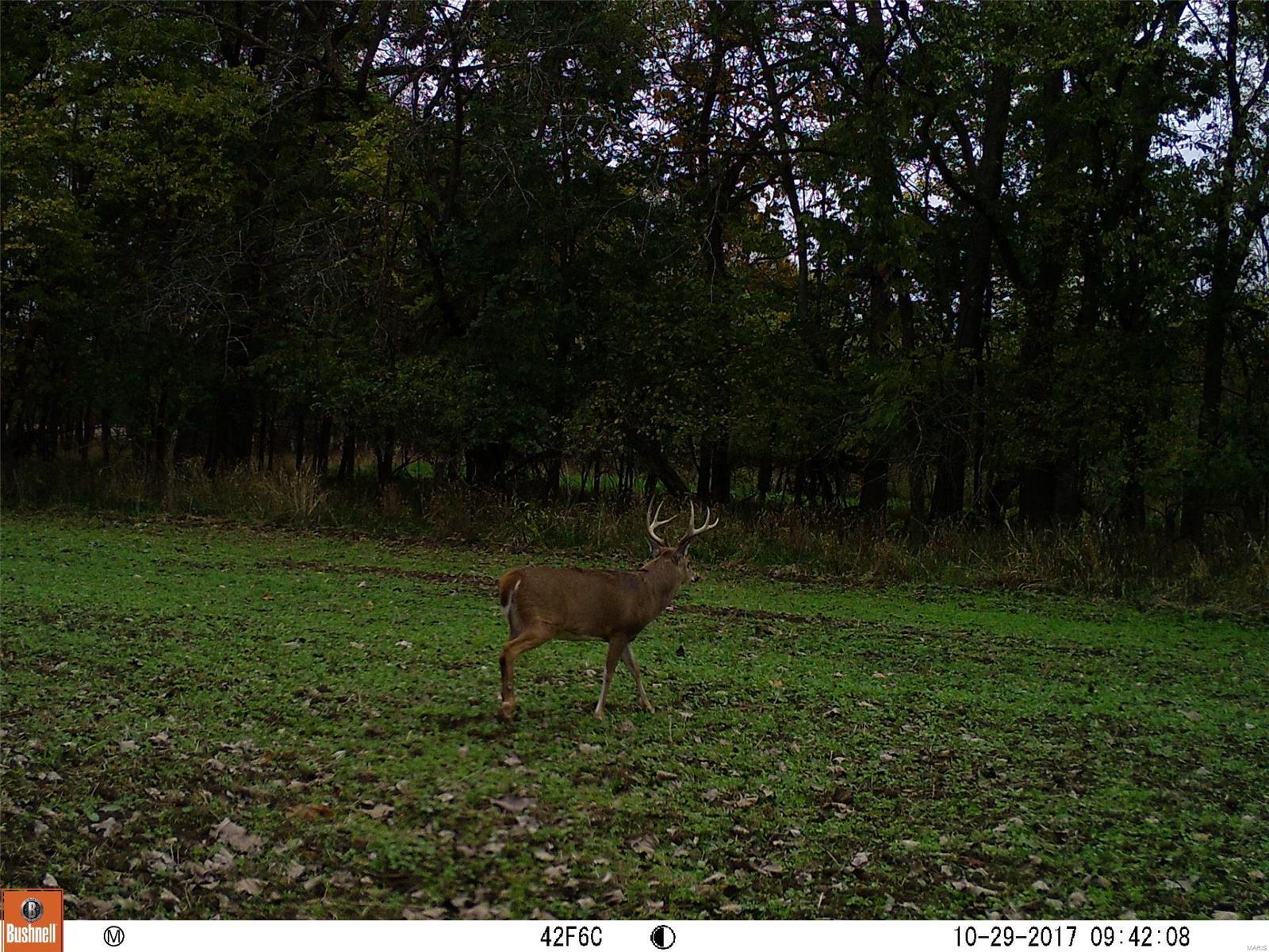 0 River Road Marshall, IL 62441 - Photo 24 of 40