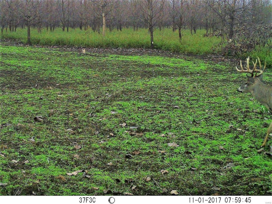 0 River Road Marshall, IL 62441 - Photo 25 of 40