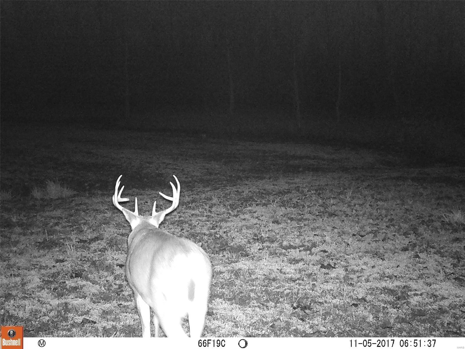 0 River Road Marshall, IL 62441 - Photo 26 of 40