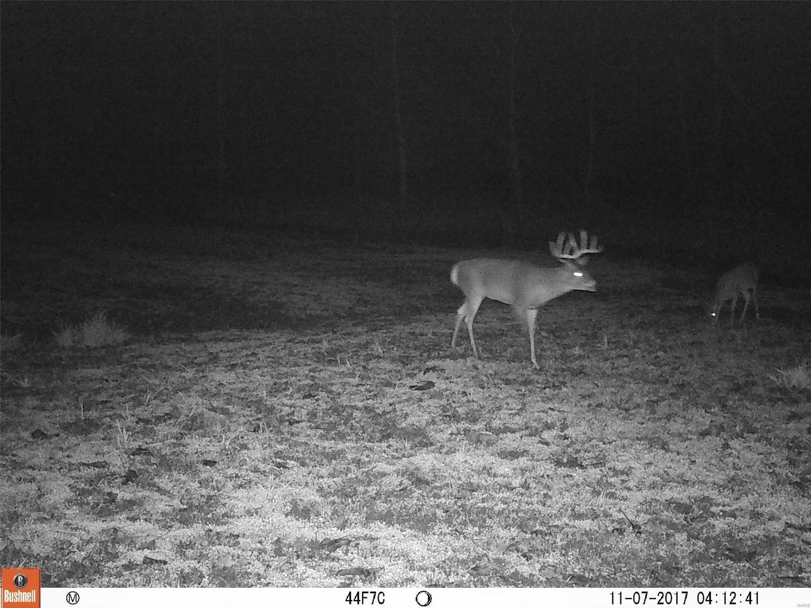 0 River Road Marshall, IL 62441 - Photo 27 of 40