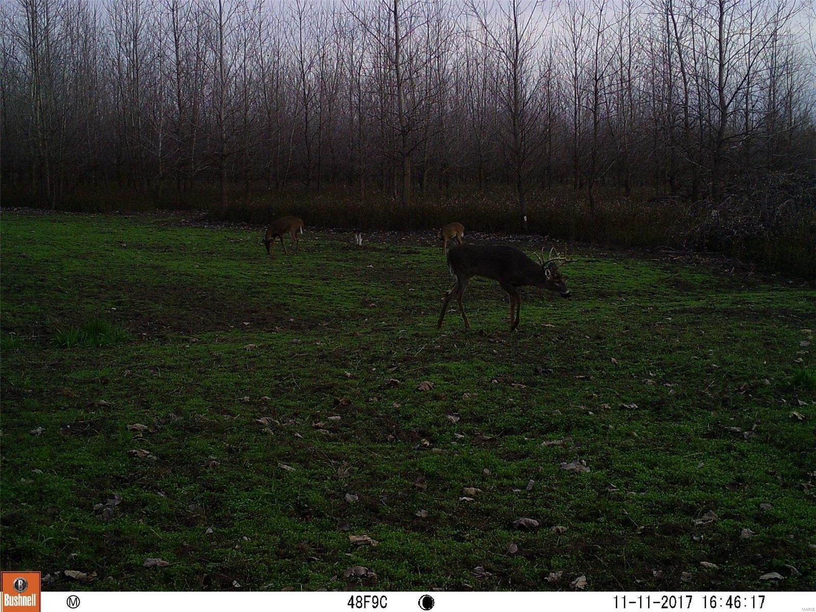 0 River Road Marshall, IL 62441 - Photo 28 of 40