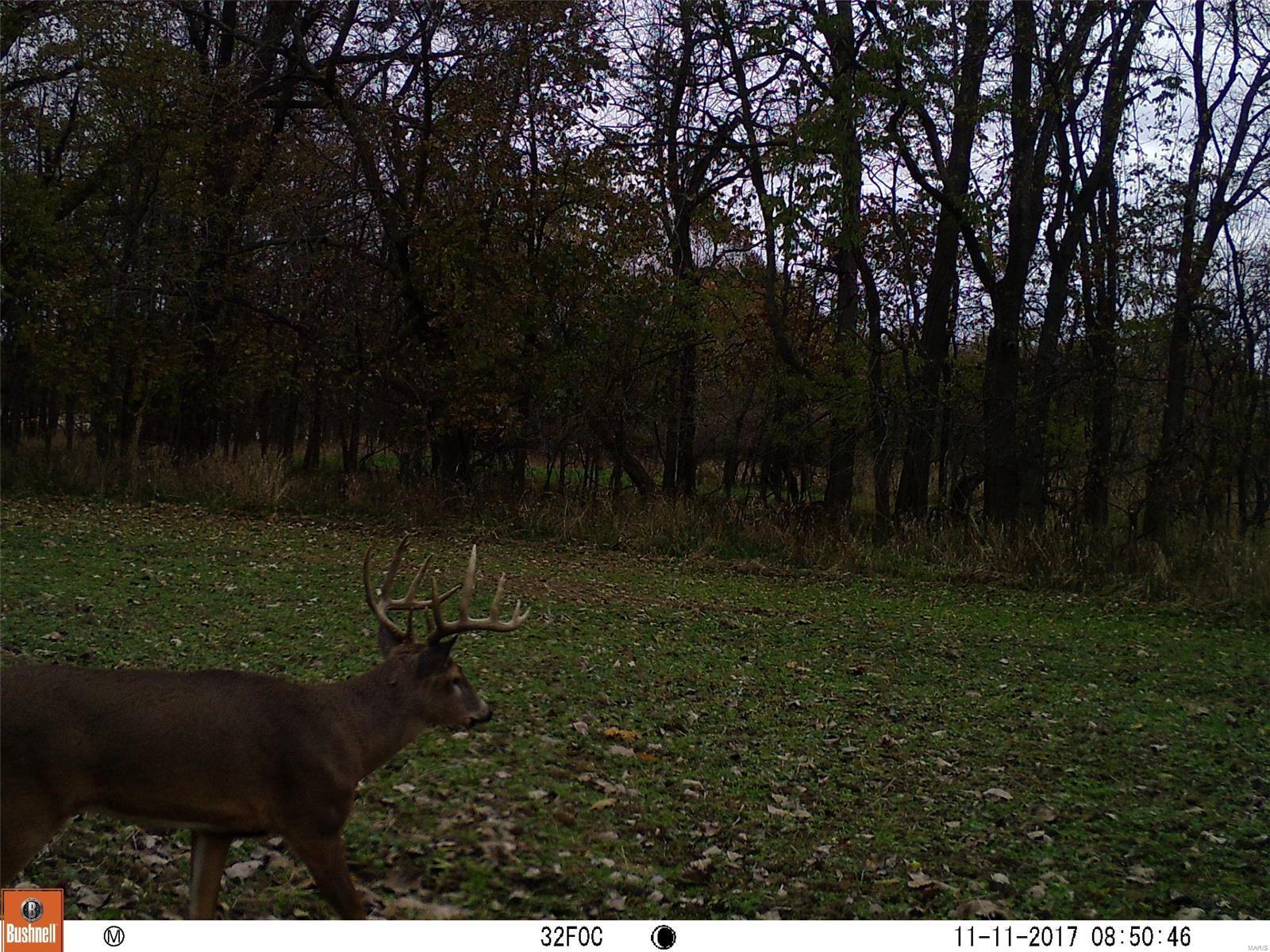 0 River Road Marshall, IL 62441 - Photo 29 of 40