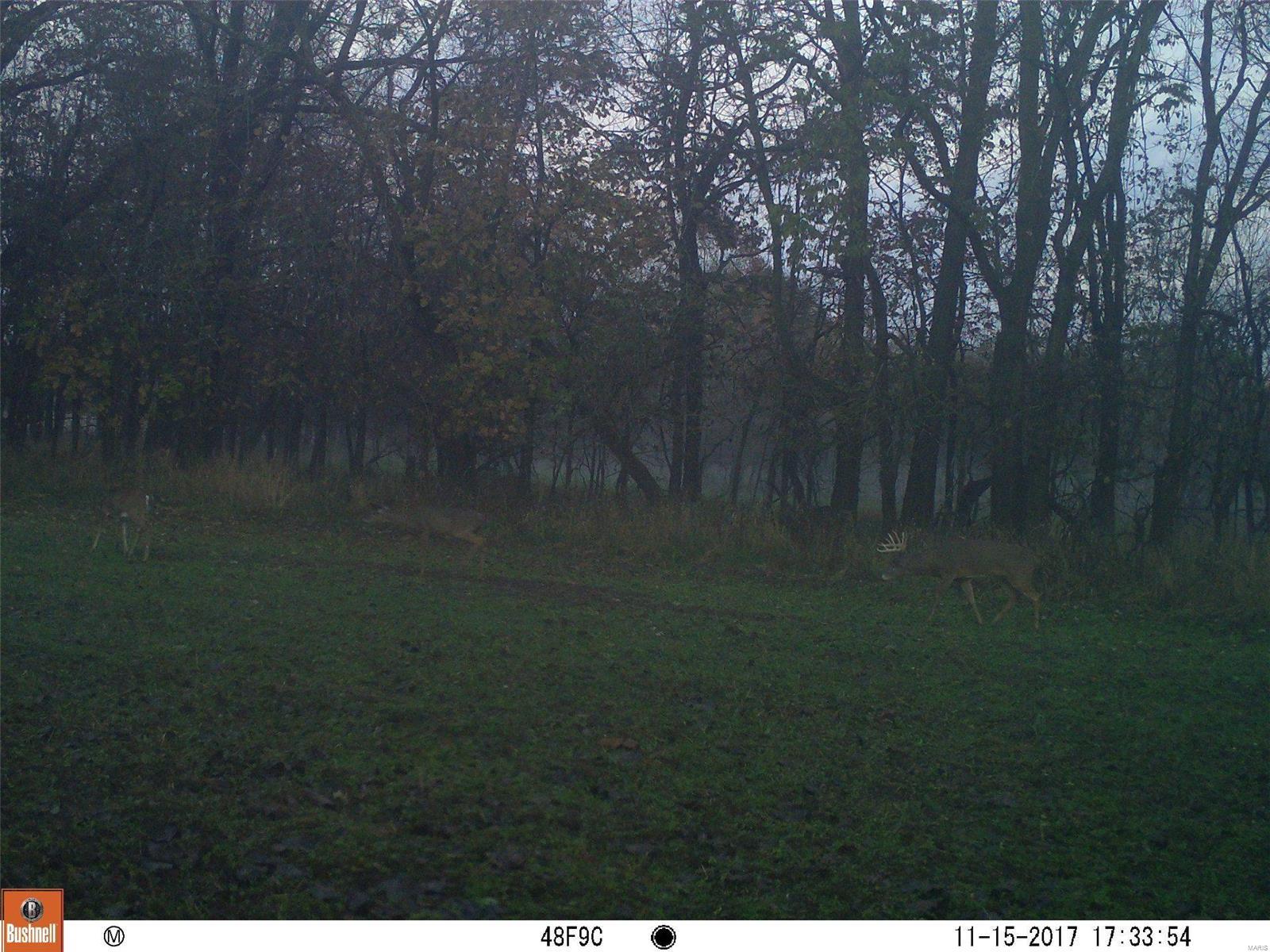 0 River Road Marshall, IL 62441 - Photo 31 of 40