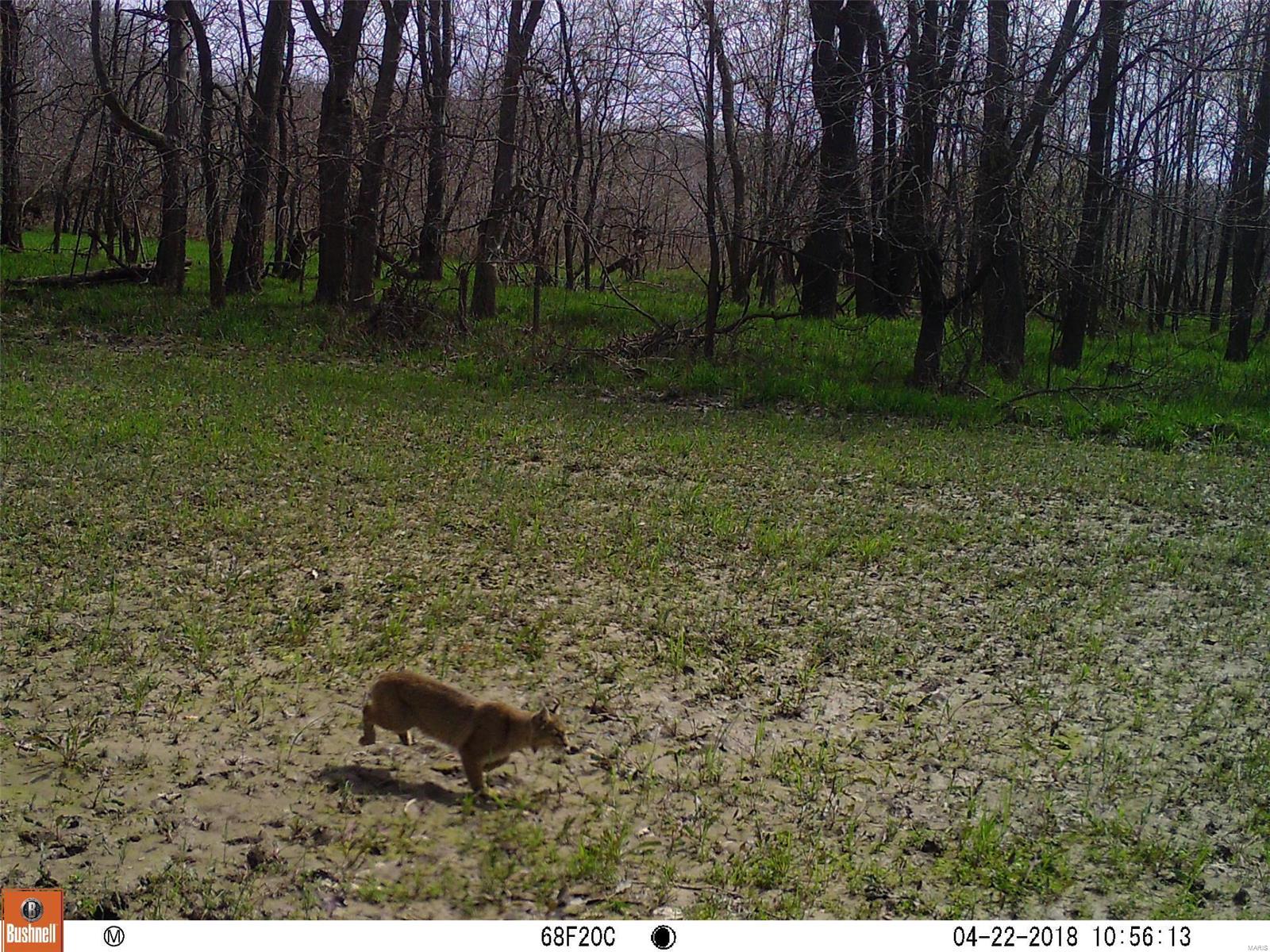 0 River Road Marshall, IL 62441 - Photo 33 of 40