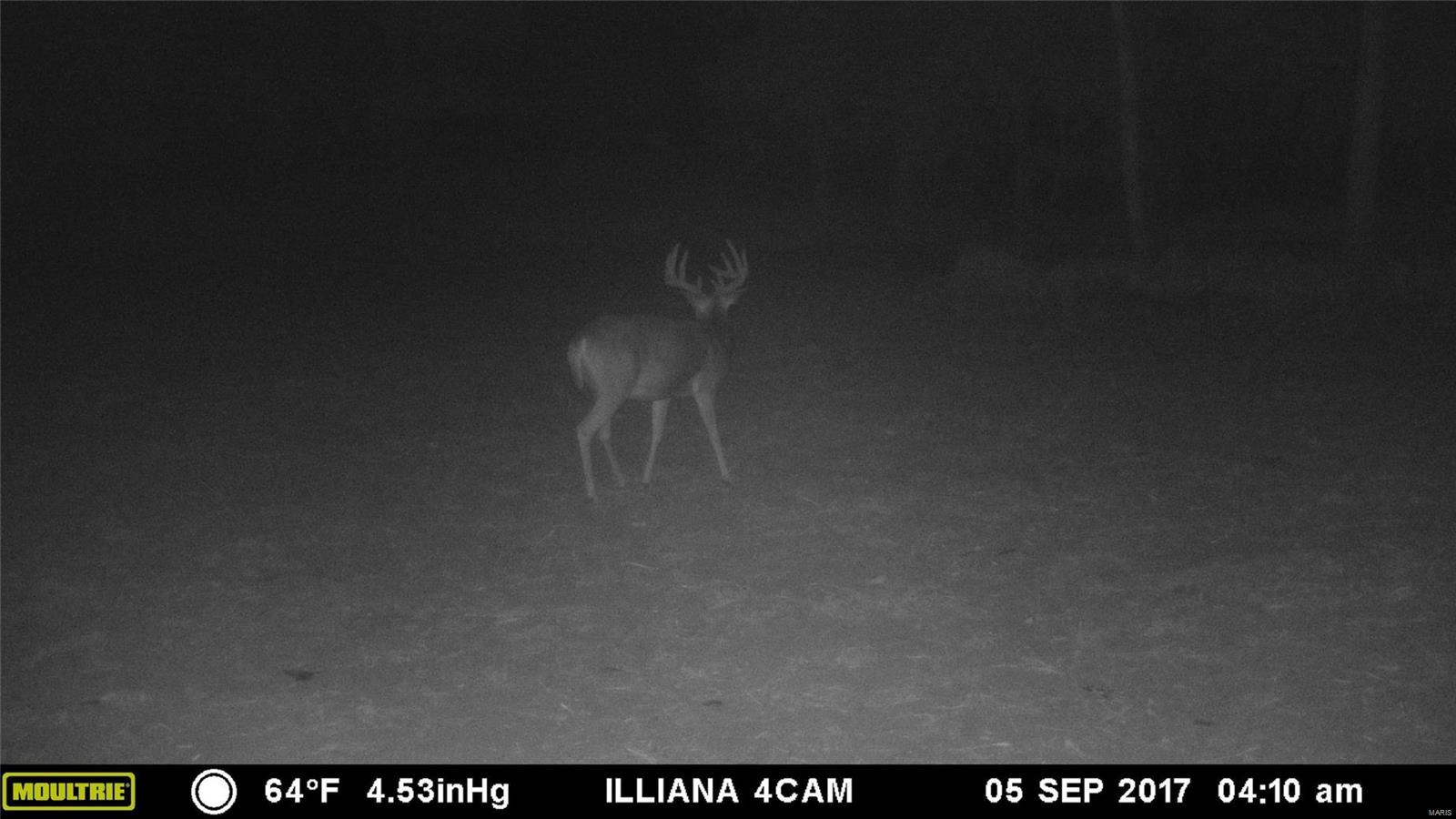 0 River Road Marshall, IL 62441 - Photo 38 of 40