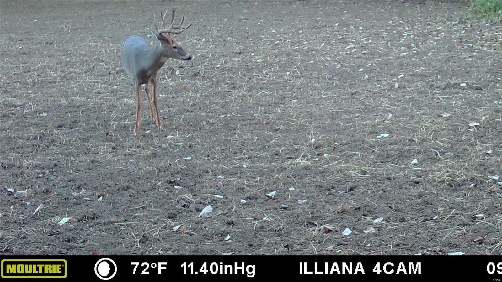 0 River Road Marshall, IL 62441 - Photo 39 of 40