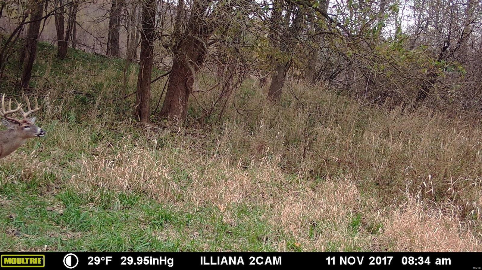 0 River Road Marshall, IL 62441 - Photo 40 of 40