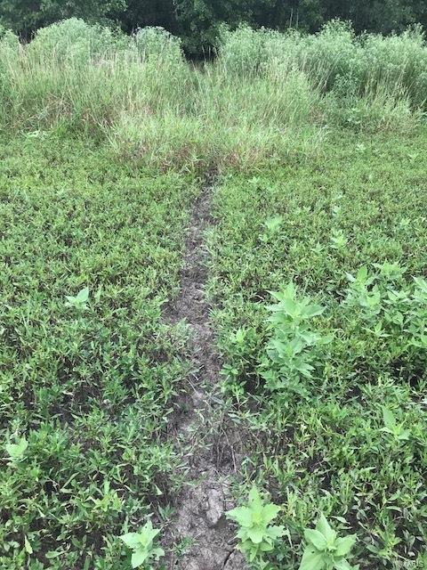 0 River Road Marshall, IL 62441 - Photo 7 of 40