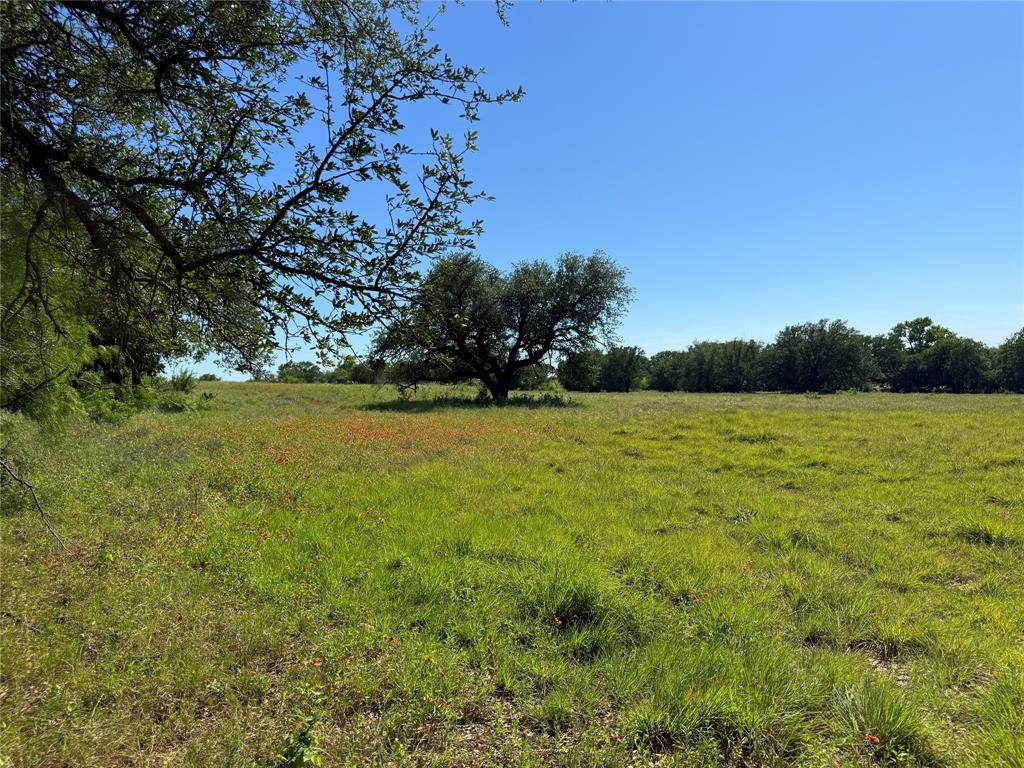 913 North Rice Street Hamilton, TX 76531 - Photo 15 of 28