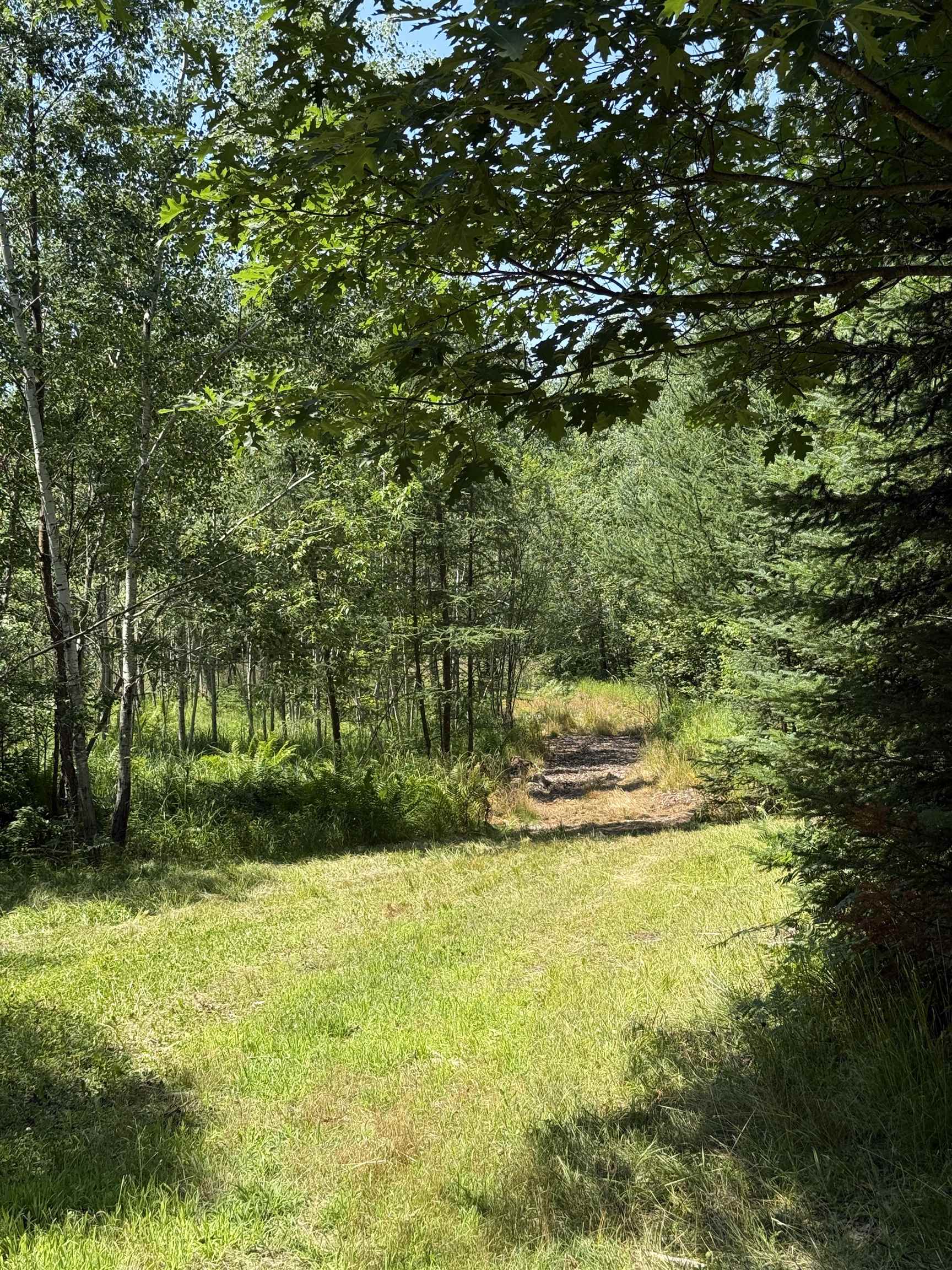 Red Hickory Road Eland, WI 54427 - Photo 16 of 28