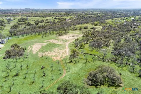 a close up of a plant