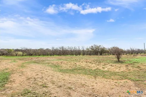 a view of a city with lush green forest
