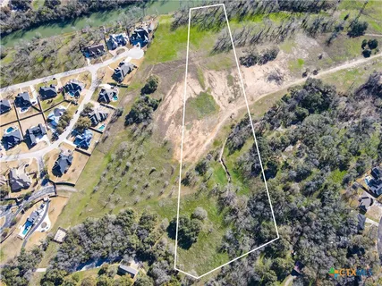 a view of flowers in a garden