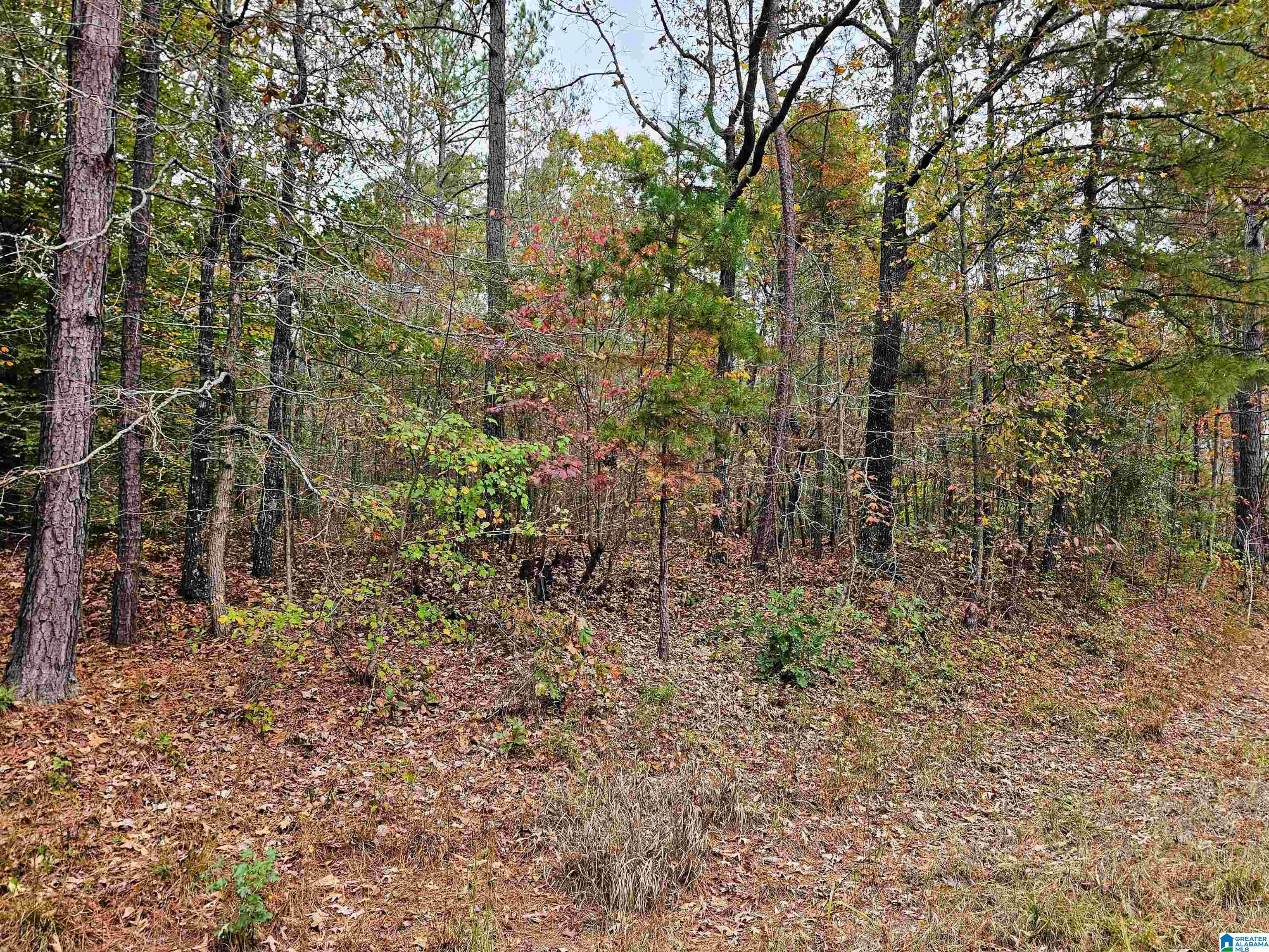 60 County Road 60, Unit 7 2 Heflin, AL 36264 - Photo 4 of 6